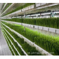 Invernaderos hidropónicos verticales agrícolas invernaderos